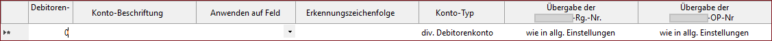 Neue Datenzeile zur Eingabe eines Debitorenkontos
