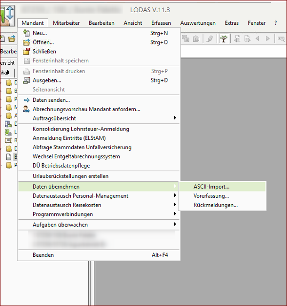Datenübernahme Datev Lodas